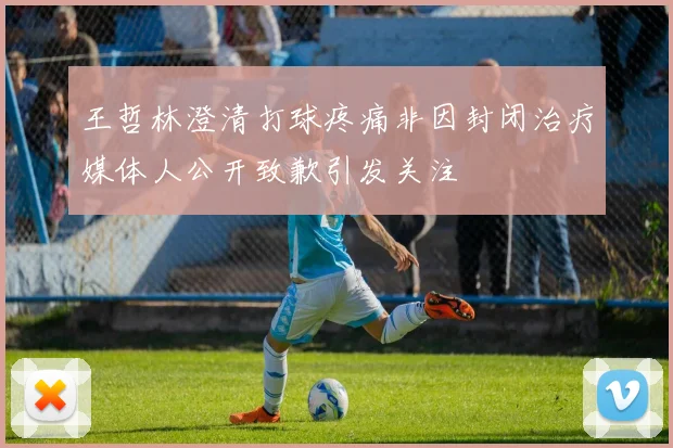 王哲林澄清打球疼痛非因封闭治疗媒体人公开致歉引发关注